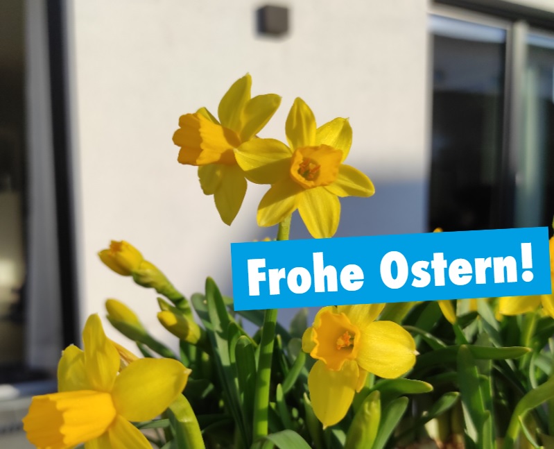 Frohe